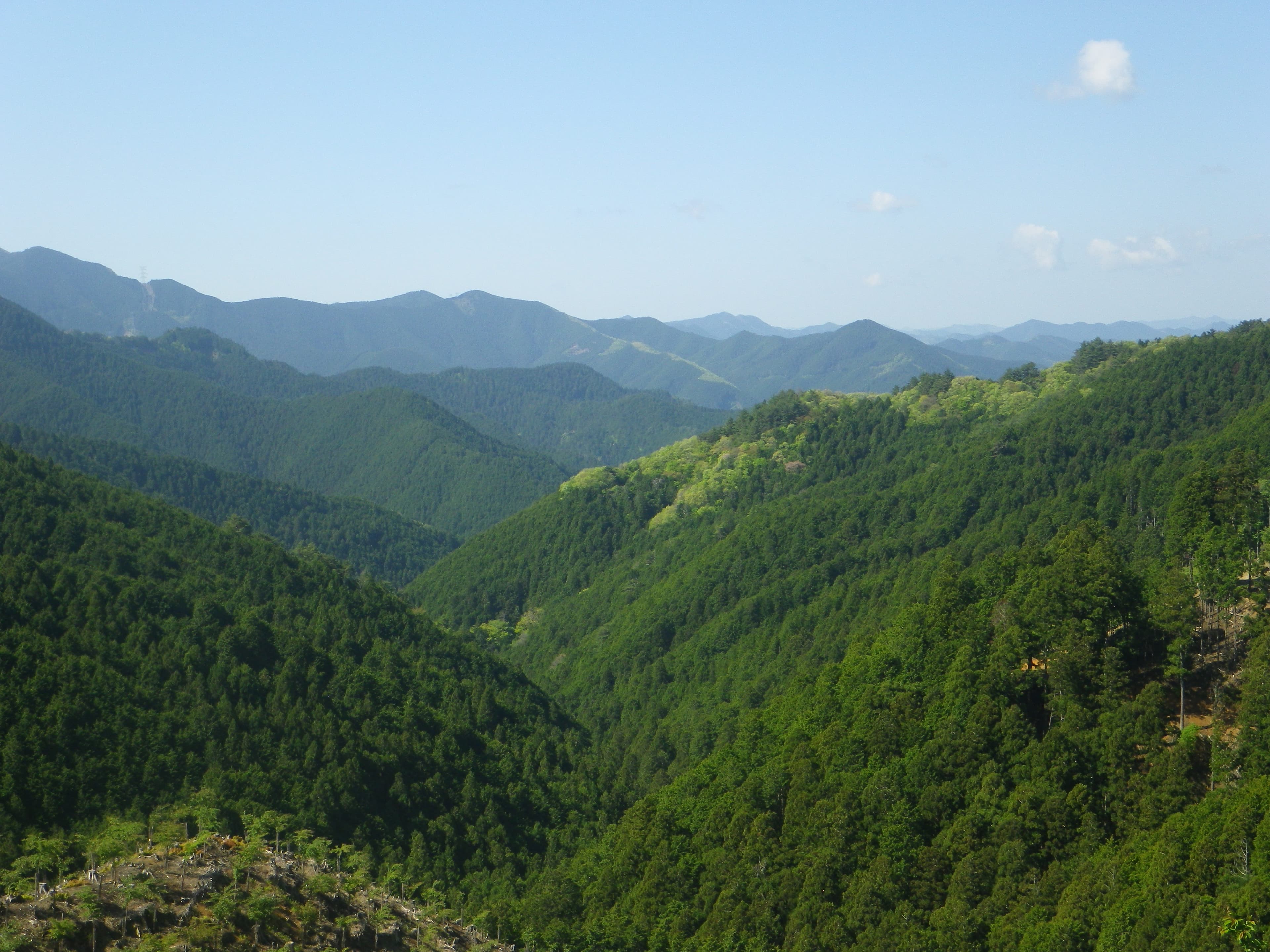 令和9年度採用分の学術振興会特別研究員の募集要項が発表されました