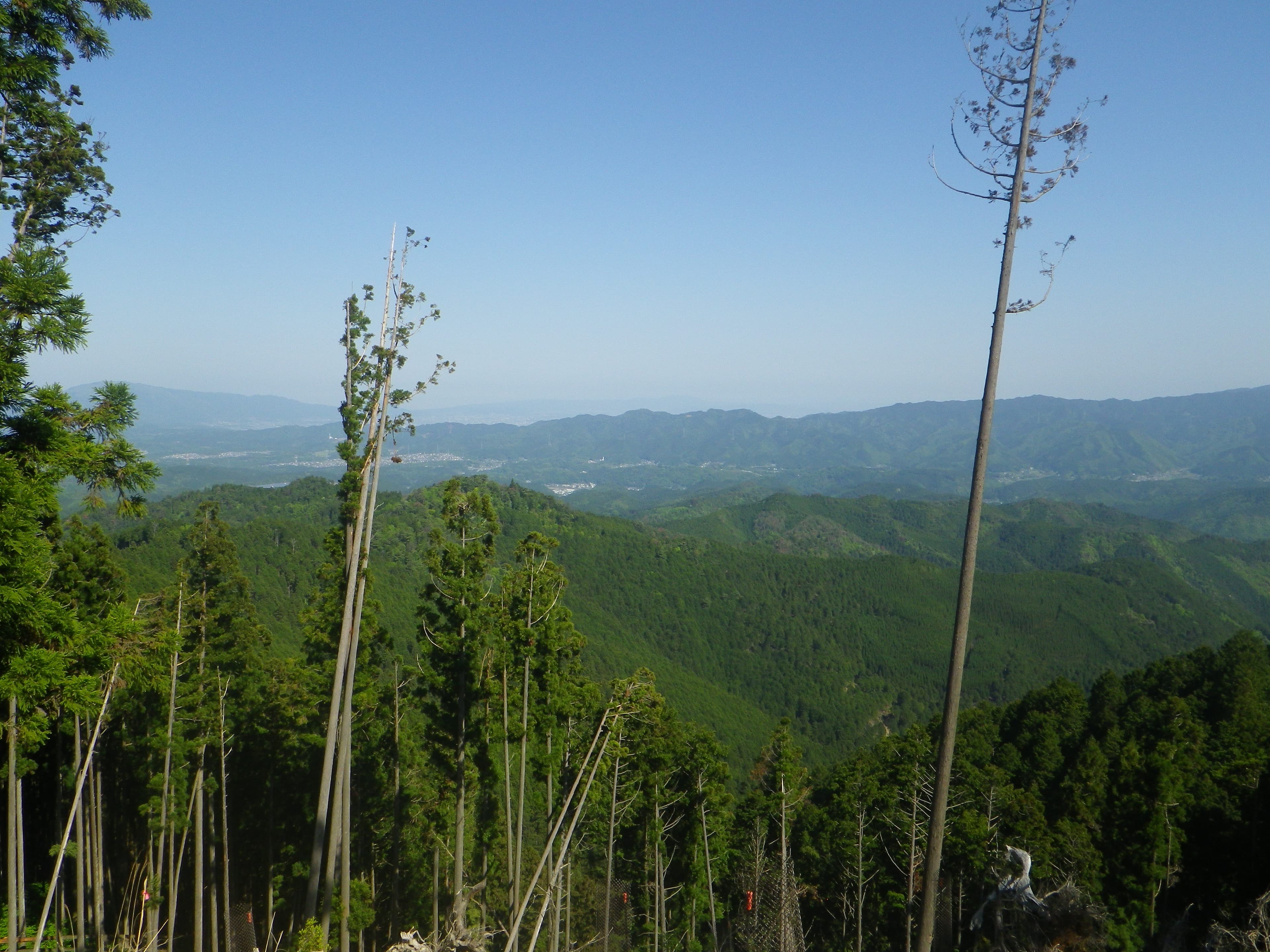 科研費の基盤研究(A, B, C)と若手研究の審査結果の発表