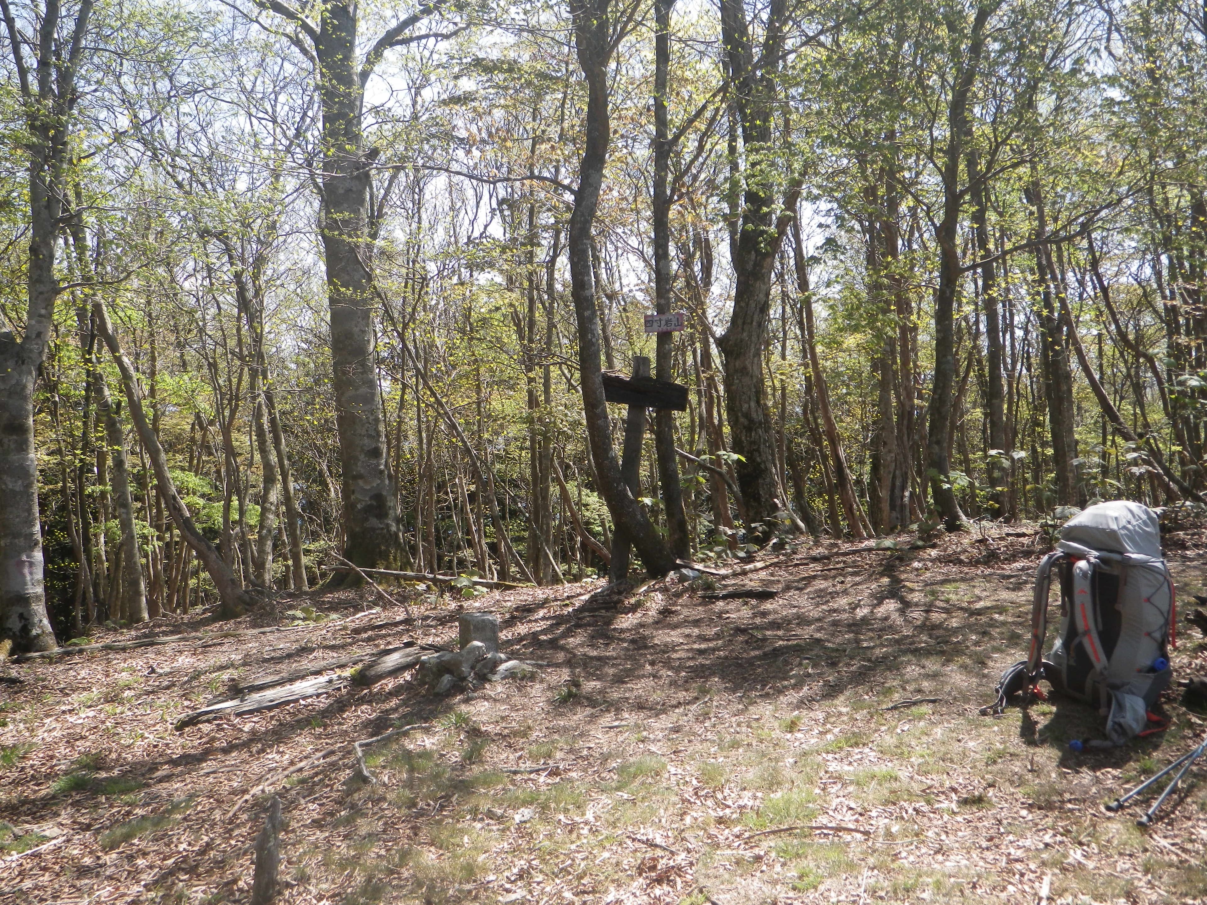 令和8（2026）年度の科研費の変更等について